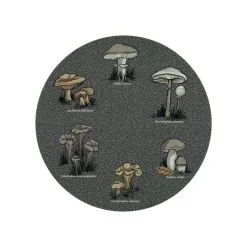 Noble House Svamp Tabletti 6 Noble House Svamp Tabletti -Matot boutique 7318161459814